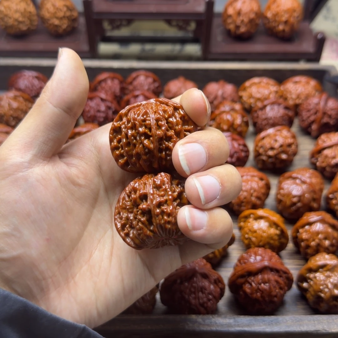 ****.四座楼来看看巨兔兔头