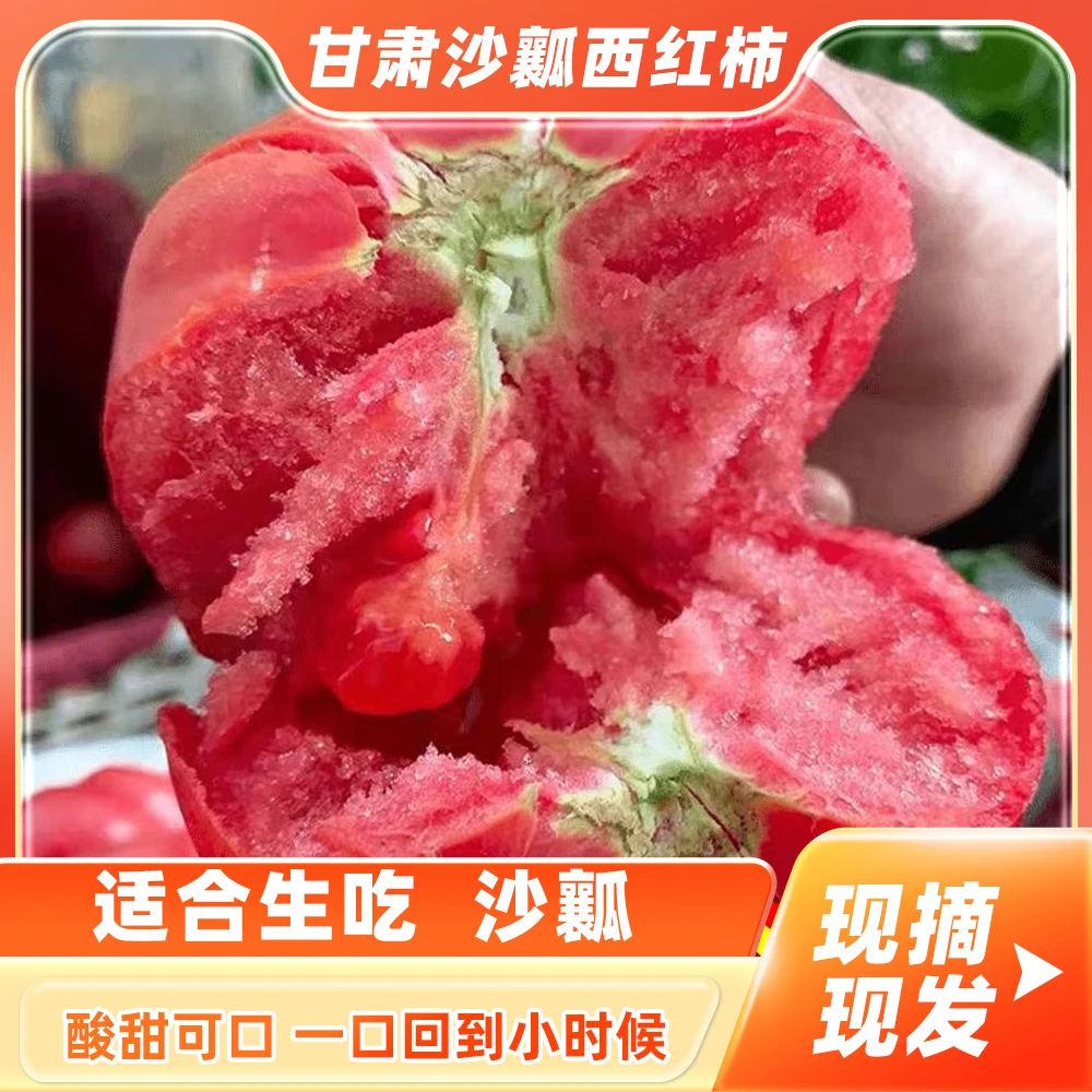 甘肃新鲜现摘沙漠沙瓤西红柿露天沙瓤自然成熟现番茄水果整箱顺丰