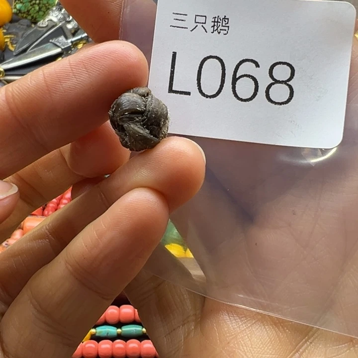 吊坠菩提根/象牙果