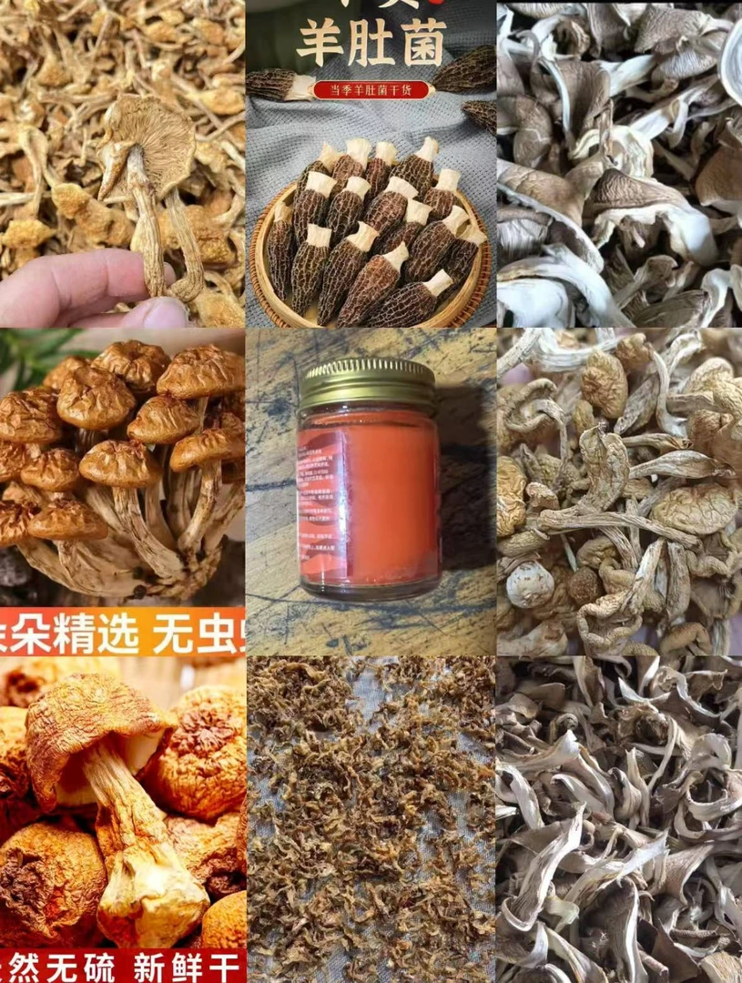 FD63 【劳胡高】高端品质   香菇菌子   现收山货