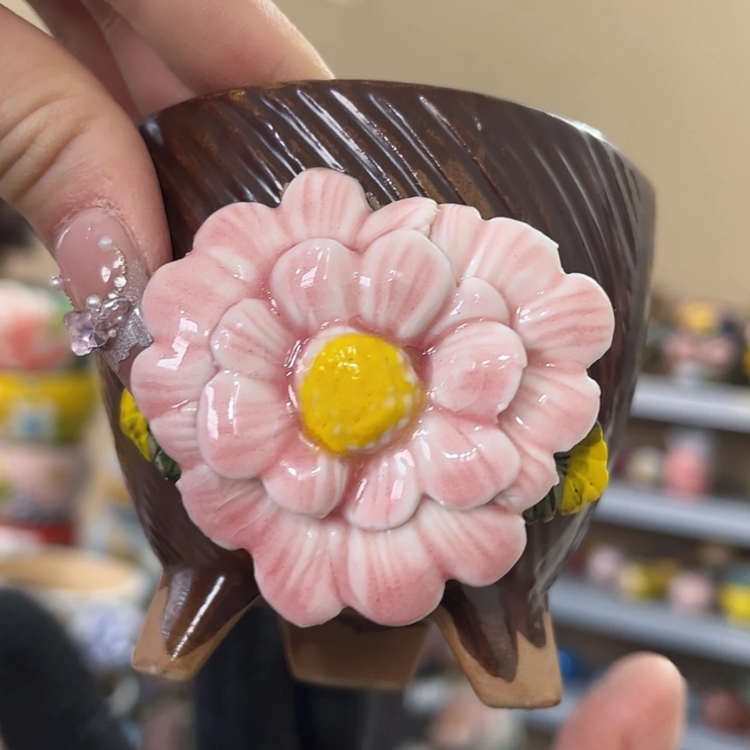 【闪购商品】红陶福利