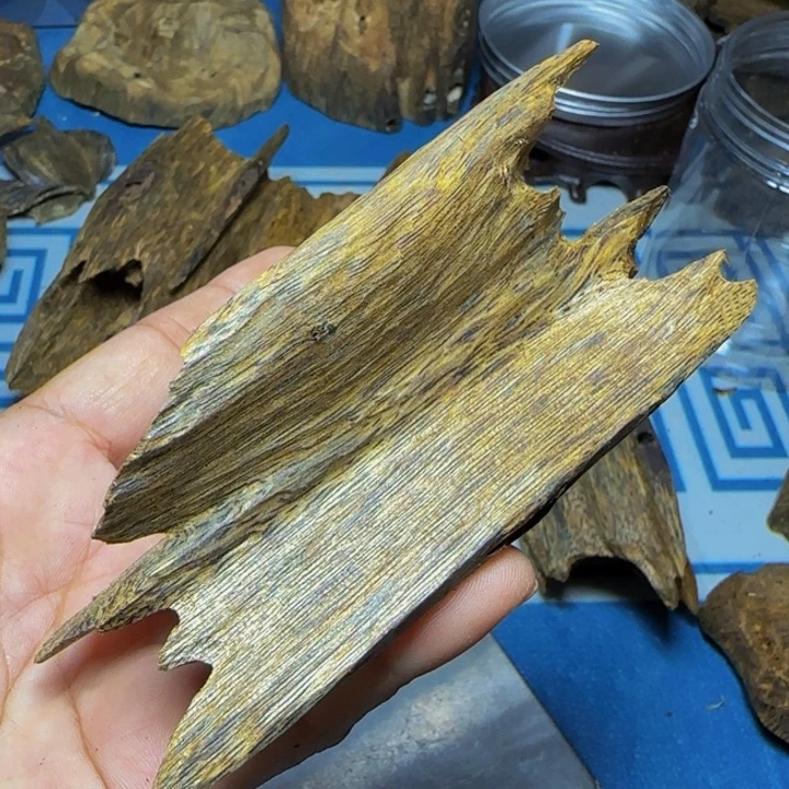 木质紫奇树心油34克