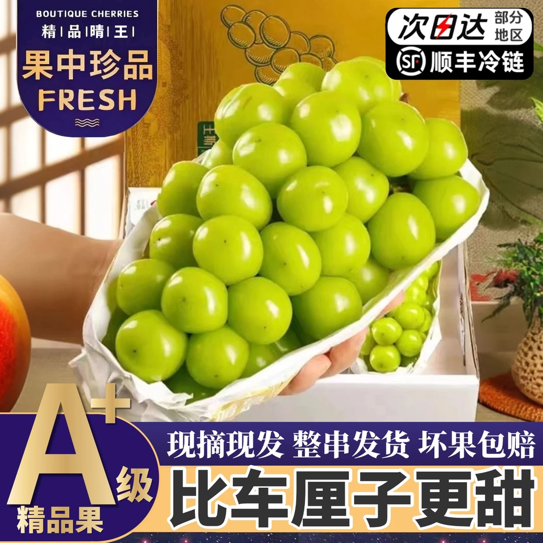 顺丰次日达【5斤大果整箱】精品阳光玫瑰葡萄当季新鲜现摘现发3/5斤