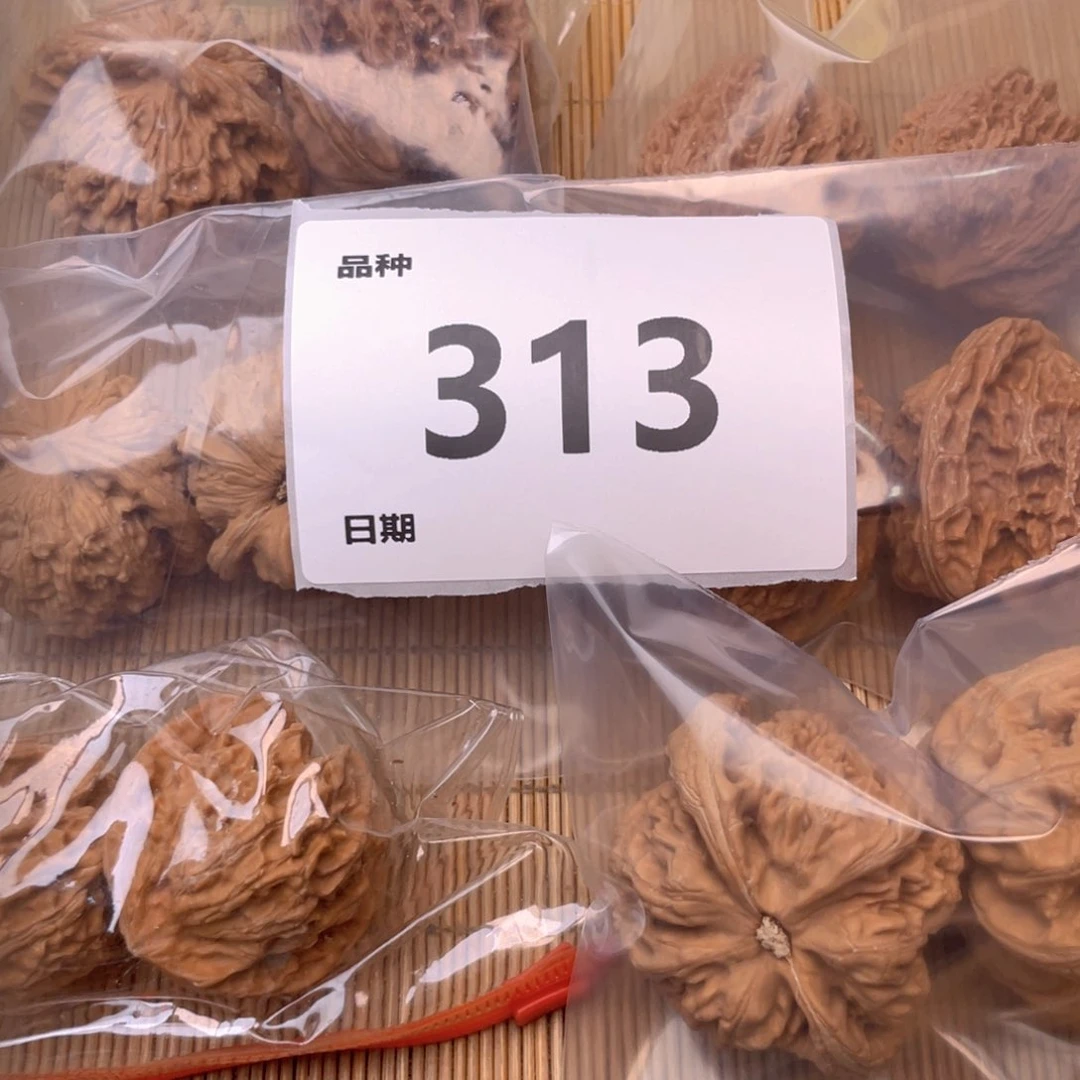 文玩核桃把件313号6对带练手粗筋
