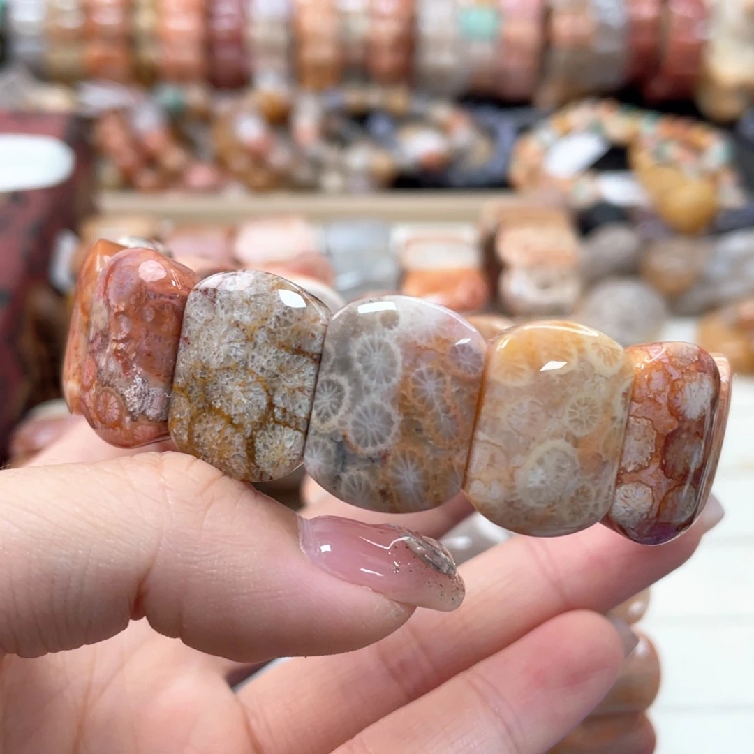 未镶嵌手链硅化珊瑚（珊瑚玉）ᨳ****了338