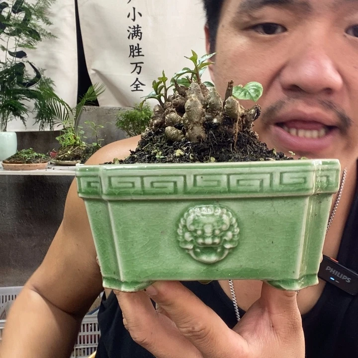 狮***子以实际为准退款拉黑拉黑167