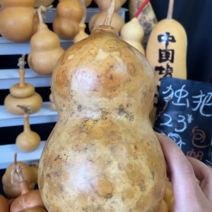 卡18左右花皮胖墩墩