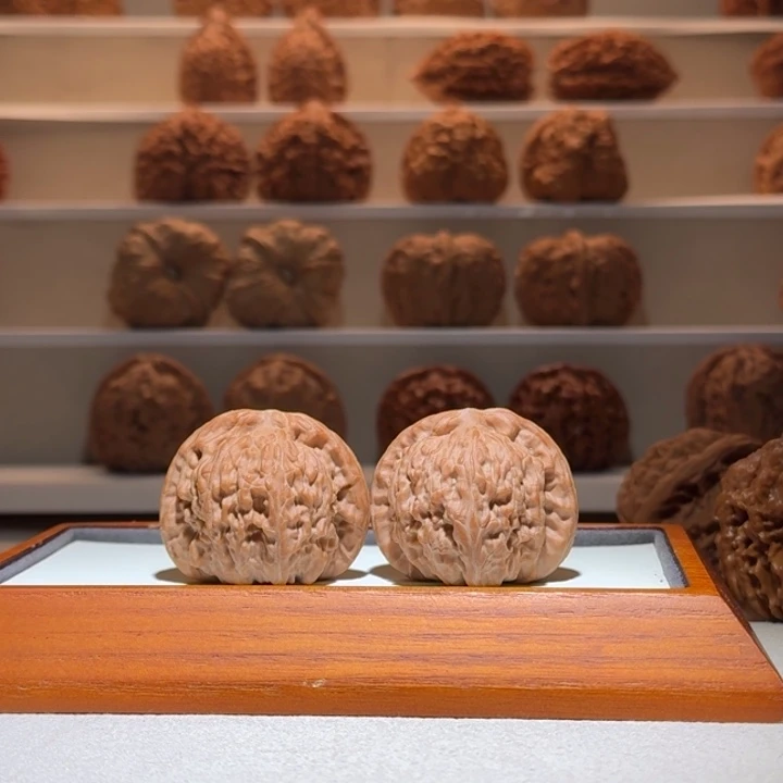 记****40白狮子精品精品精品