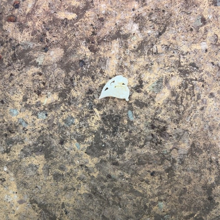 和田玉（白玉）未镶嵌挂件