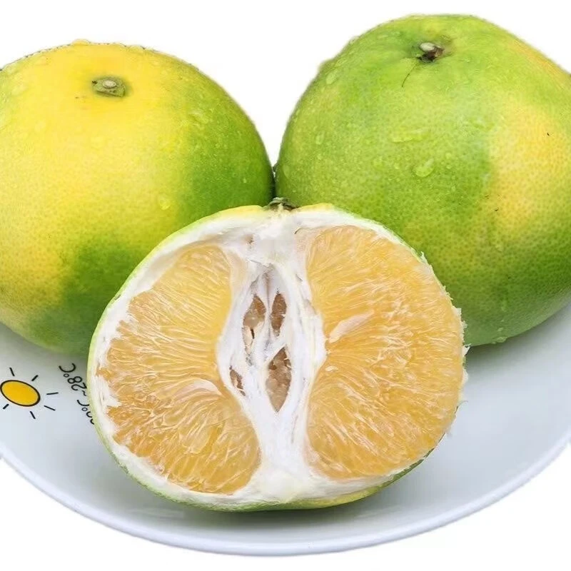 【赤峰市区当天达】甜心葡萄柚4颗装包邮到家