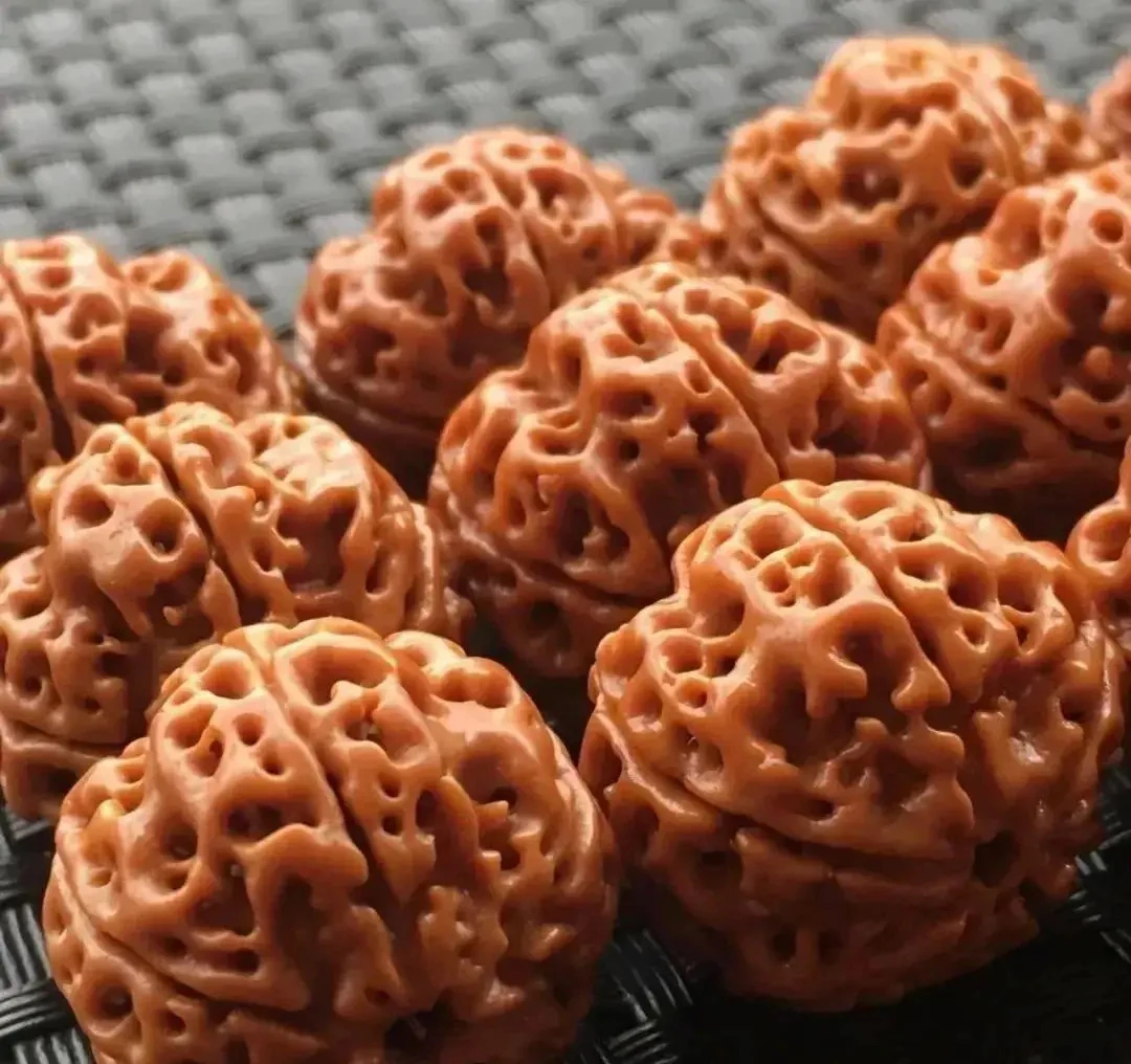 天然正宗大金刚菩提爆肉双龙纹梅花桩男士手串佛珠