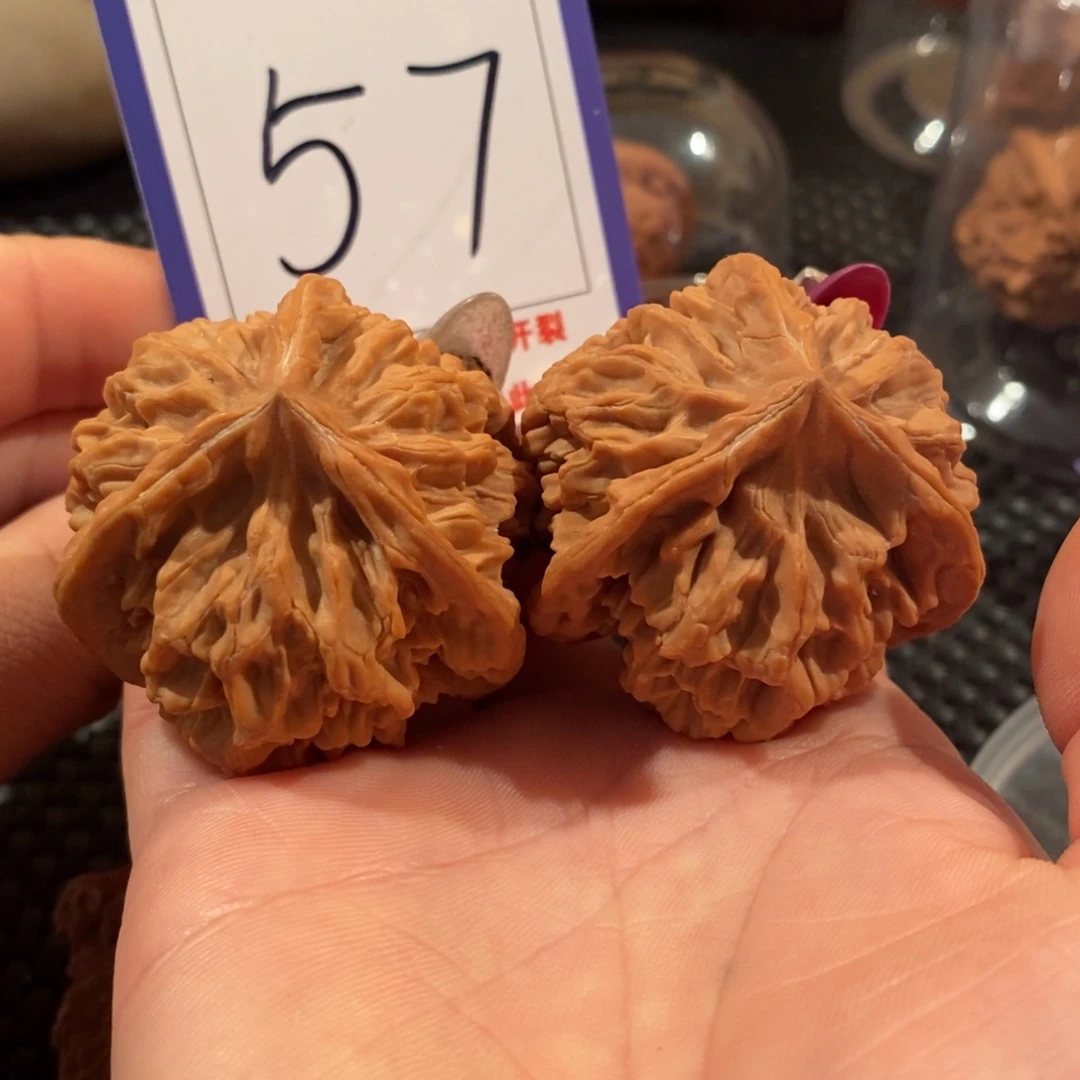 文玩核桃吊坠57帝王正奔全品45尺