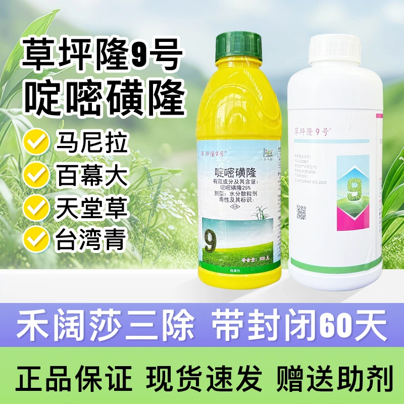 草坪隆9号暖季型草坪烂根专用除草剂啶嘧磺隆水花生小飞蓬杀草剂