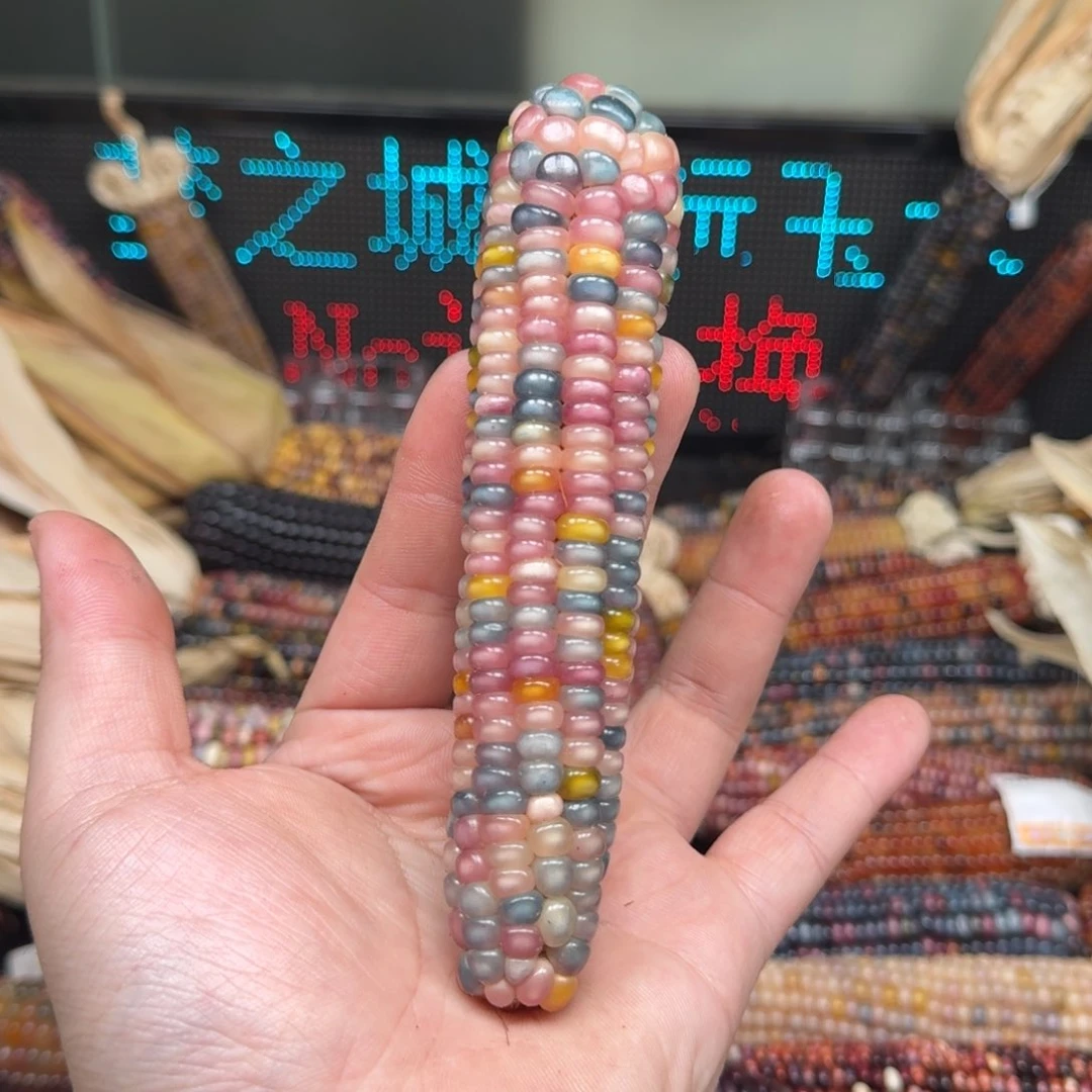 柏香籽/百香籽吊坠柏*