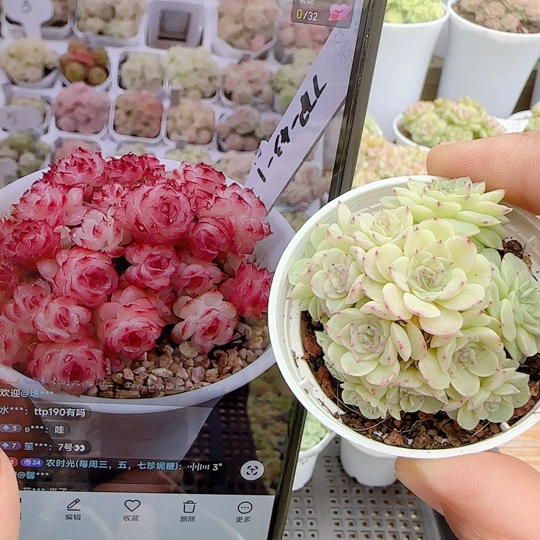 1104-110（ttp-43-1）优选