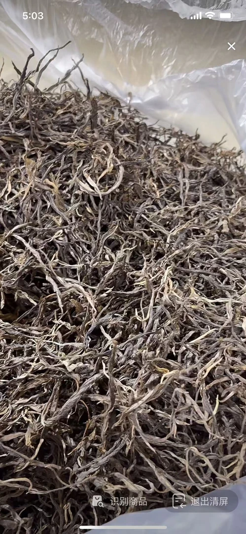 2025年老曼峨古树生普洱茶茶山福利生茶200g