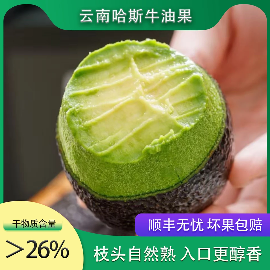 国产云南新鲜哈斯牛油果当季水果丝滑醇厚绵密采摘单果130-300g
