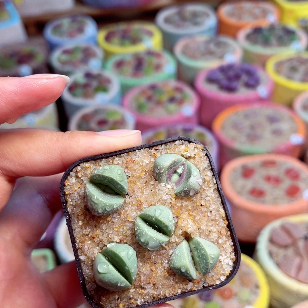 120。008888888888888888