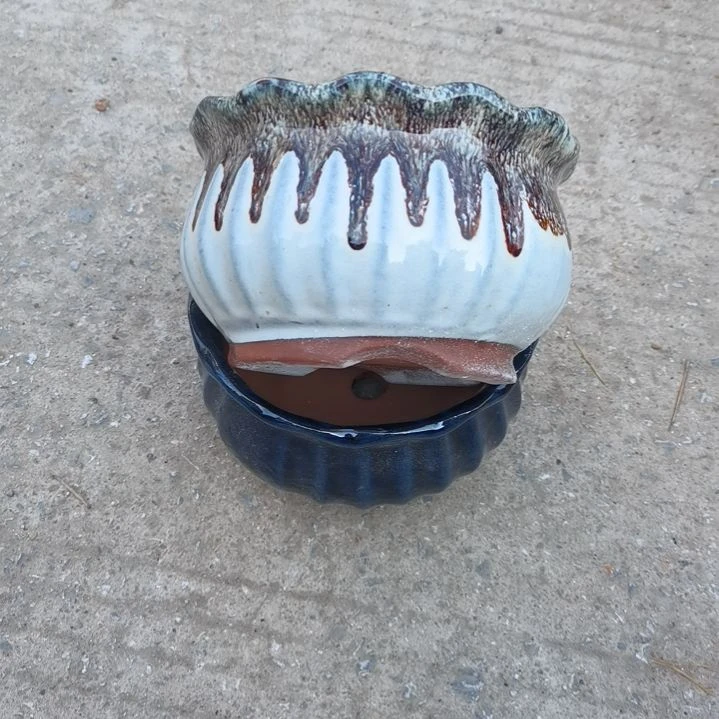 红陶17/10微瑕两个