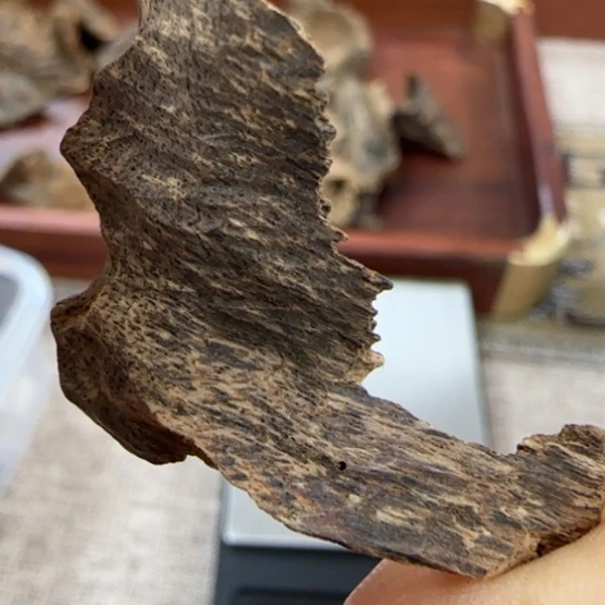 沉香摆件海南沉水老料1.2克