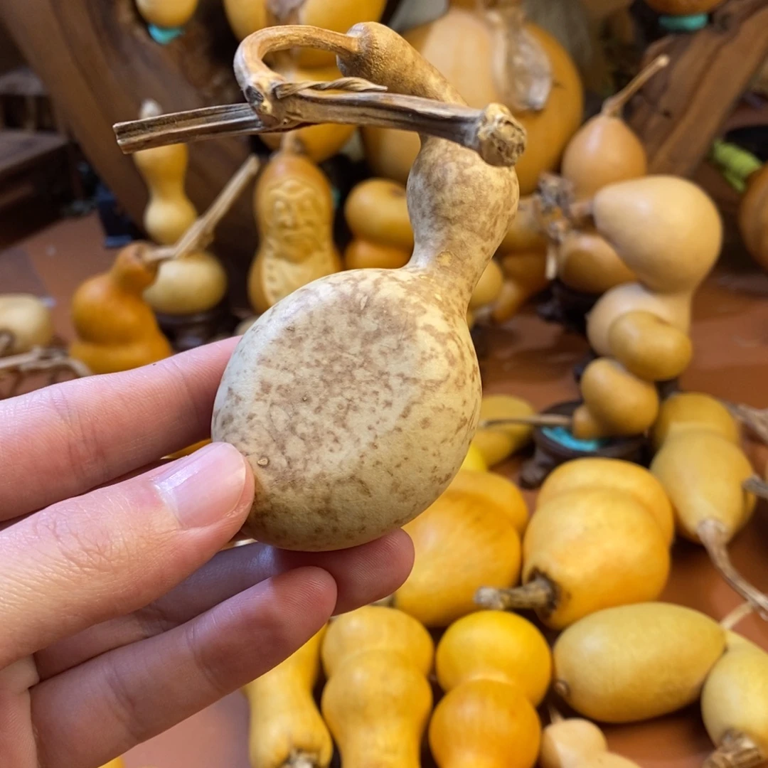 快***乐桂林教练教练咯教练经理