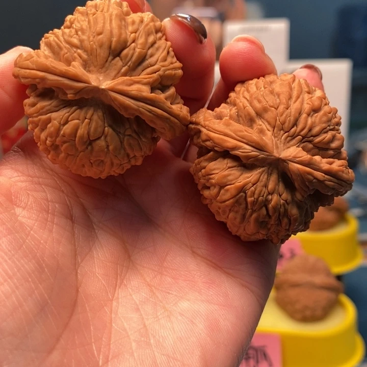 ╭***得核桃手串/手链白狮子