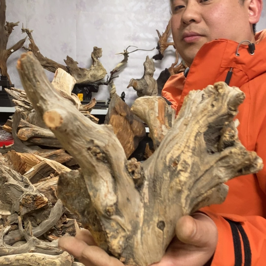 柏木古**香我们都是好孩子