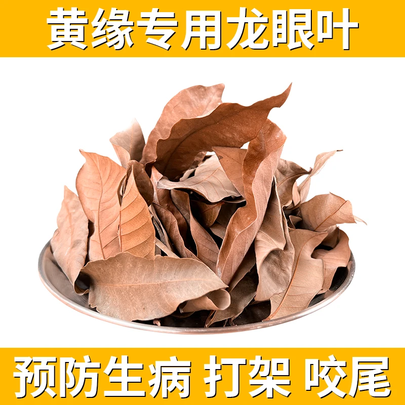 【养宠装备】龙眼叶养龟大片免煮预防腐皮腐甲乌龟造景躲避免洗用