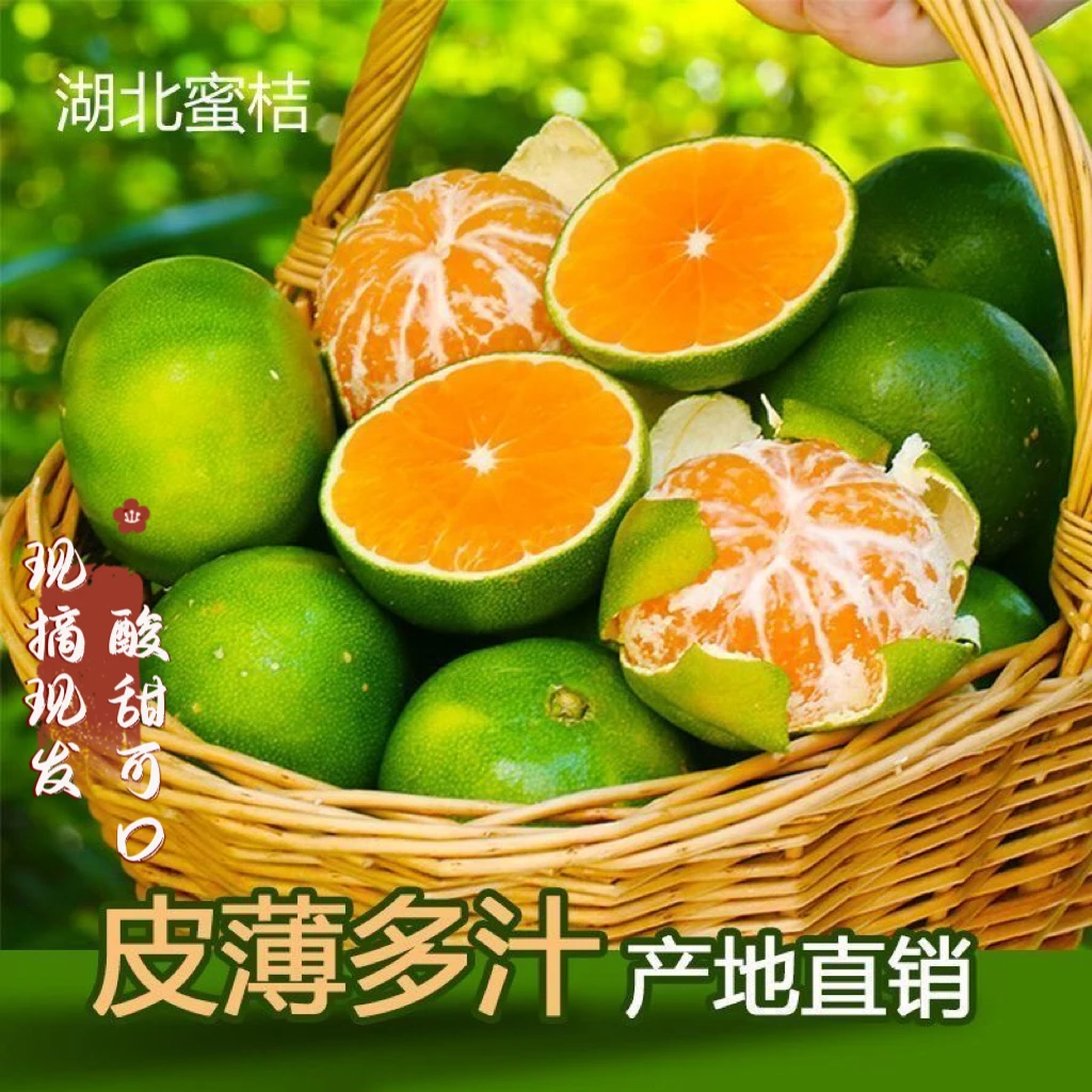 现摘新鲜无籽青皮蜜橘宜昌蜜桔高山健康新鲜水果爽口薄皮爆汁橘子