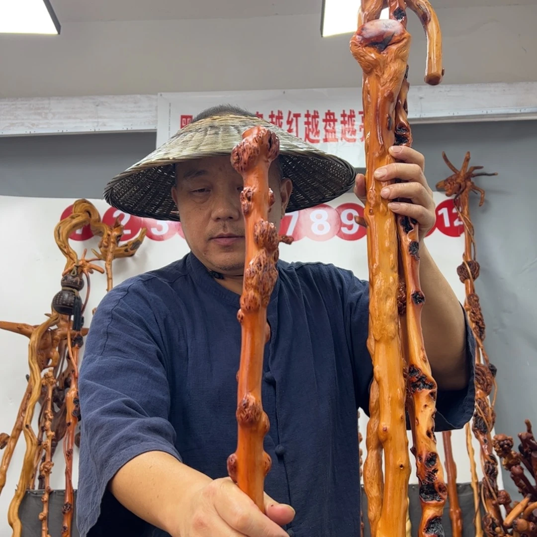 用***5黑果木其他黑果木813