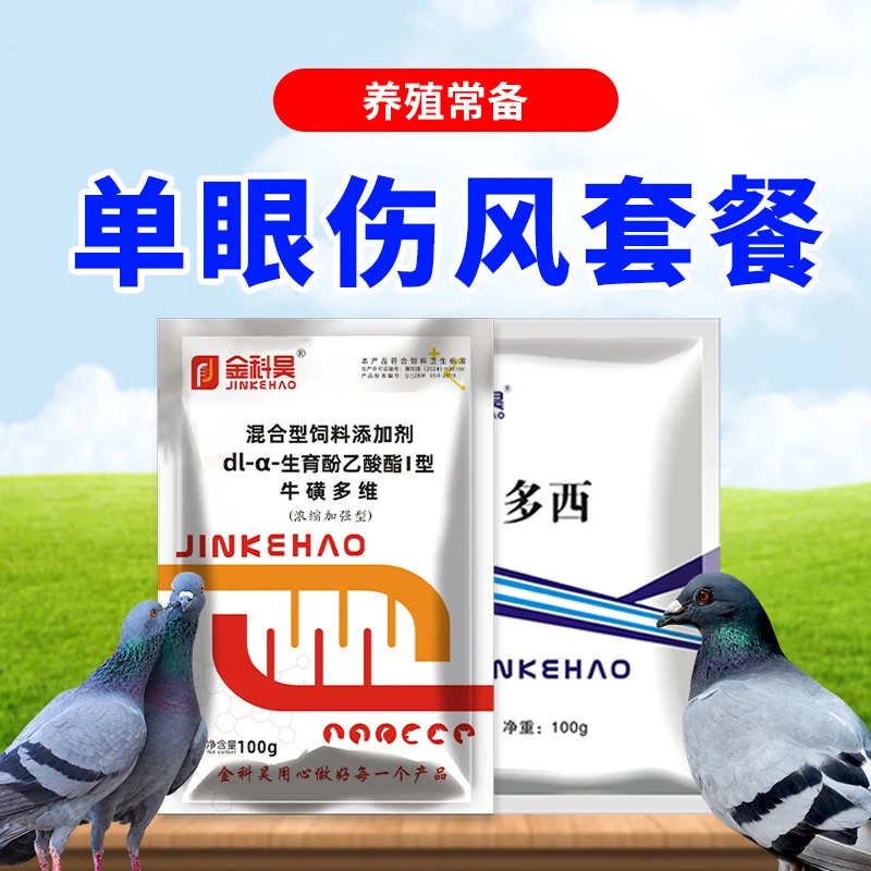 鸽子单眼伤风套餐养鸽常备产品