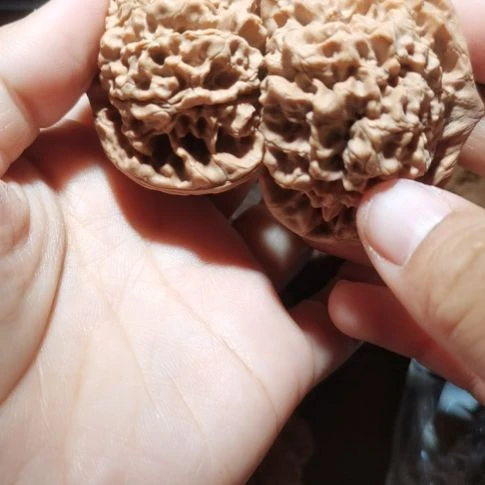 猴头核桃吊坠54龙鼎