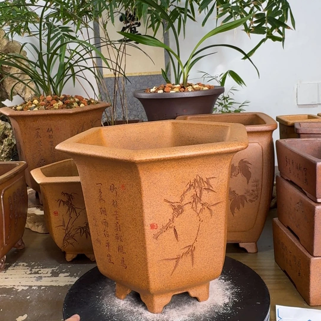果***粥紫砂花盆紫砂花盆