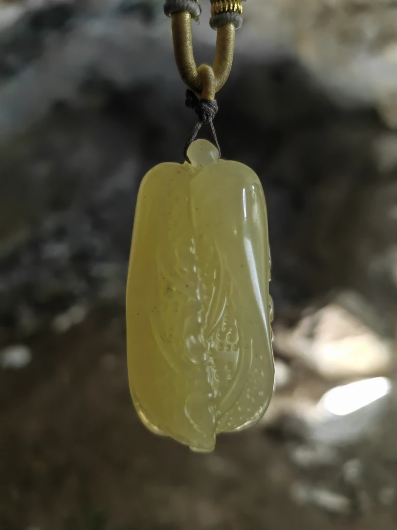 白菜 讲解链接 勿拍