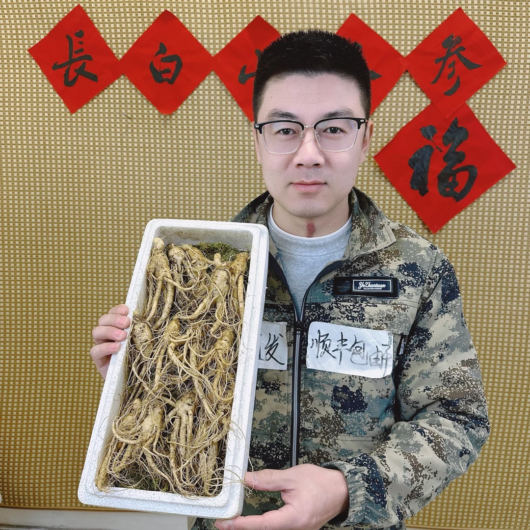 正宗长白山鲜人参单只20克左右到手10根到15根半斤装坏烂包赔