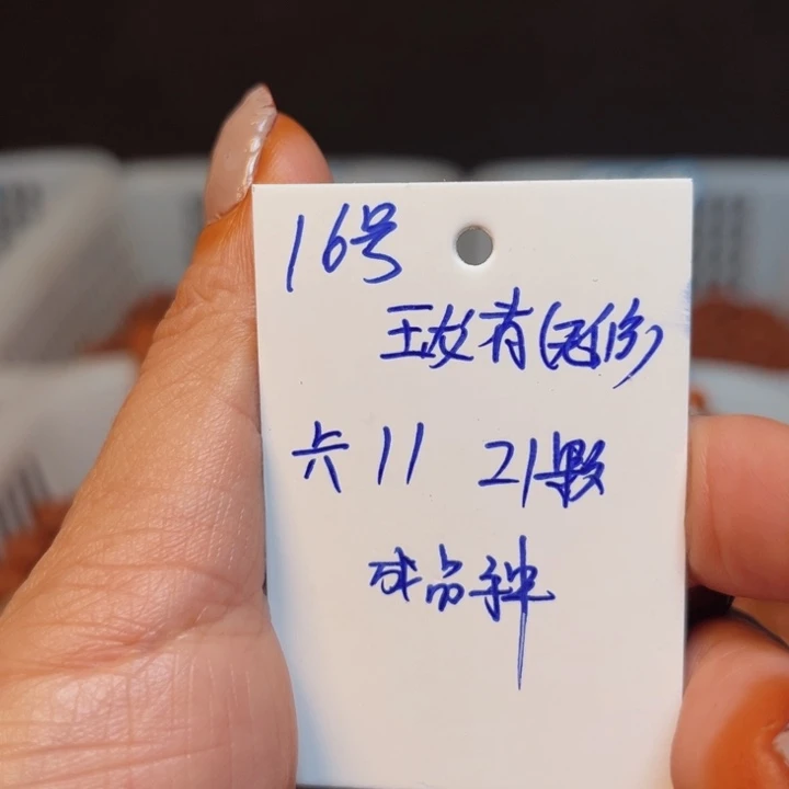 桃核吊坠玉龙脊桃核