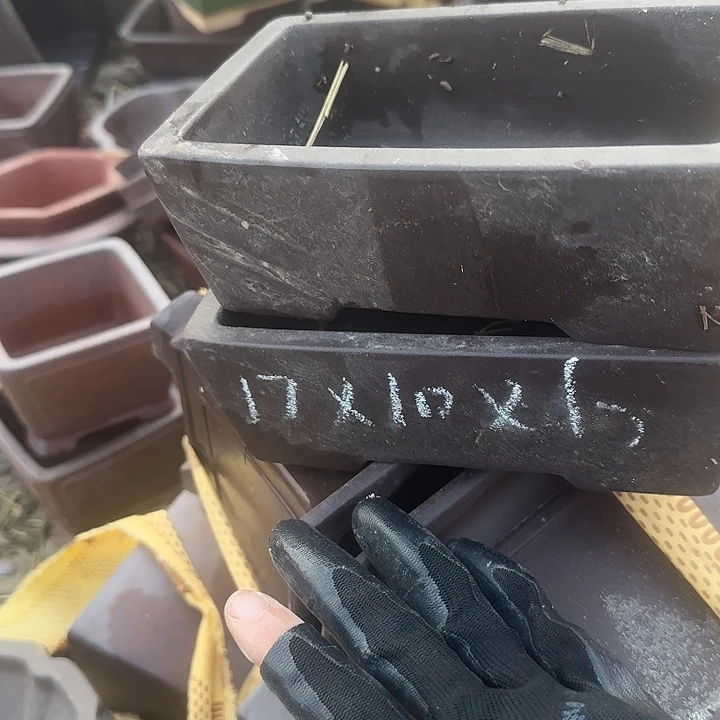 紫砂杯及红石酒品中具有