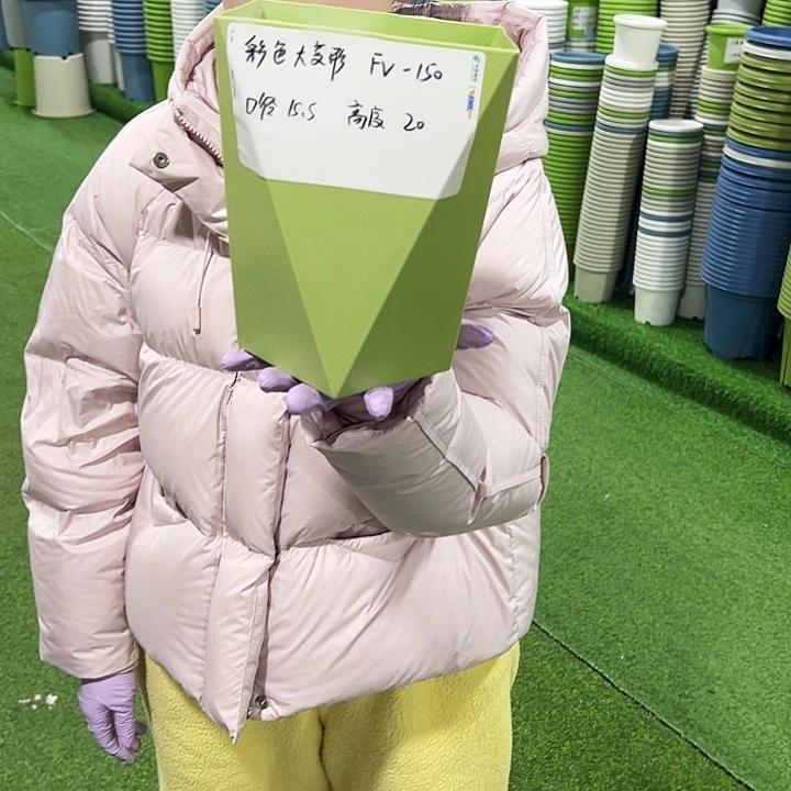 正品FV150口15高20果绿5只带托