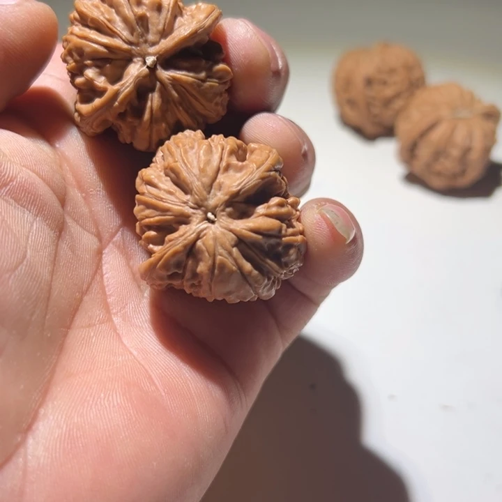 L****文玩核桃把件蚂蚁王