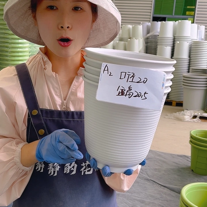 仿陶盆A2白色5个含托