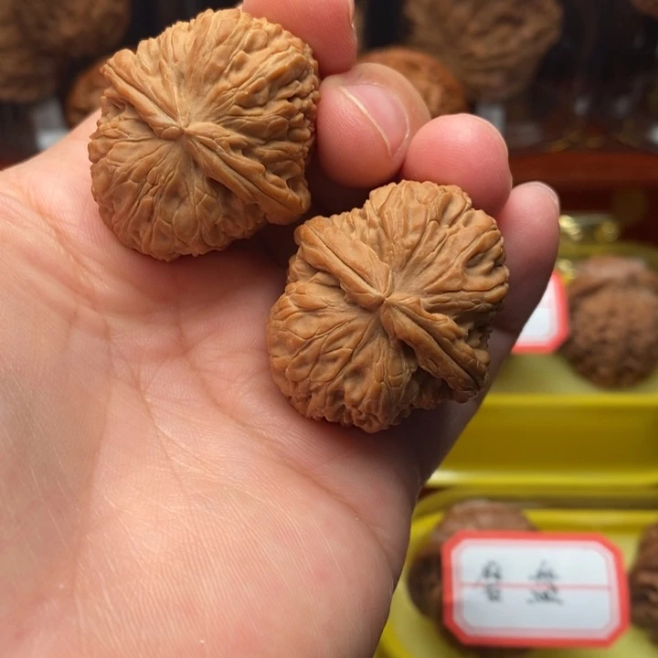 核桃麻核桃白狮子32尺