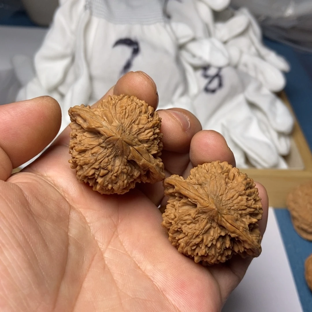 桃核把件8号核桃东