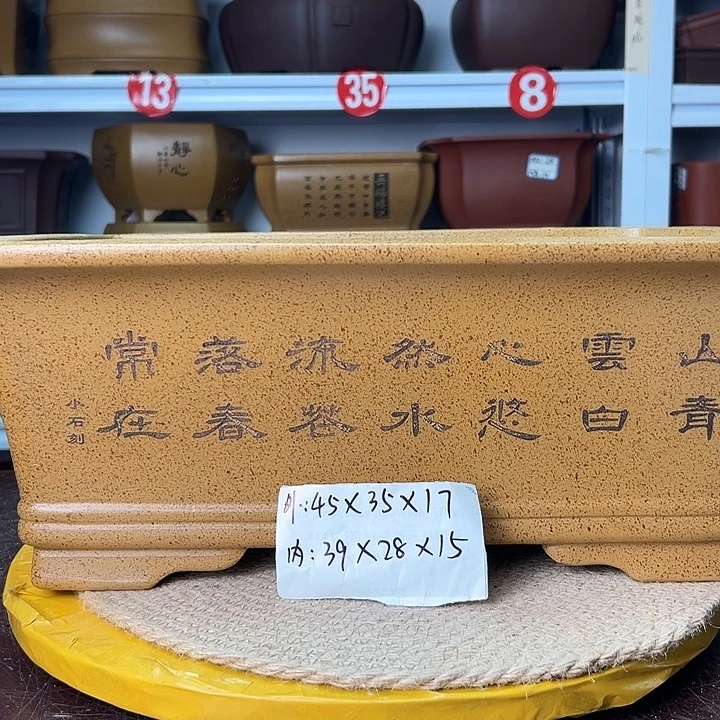 花盆紫砂蛇年大吉