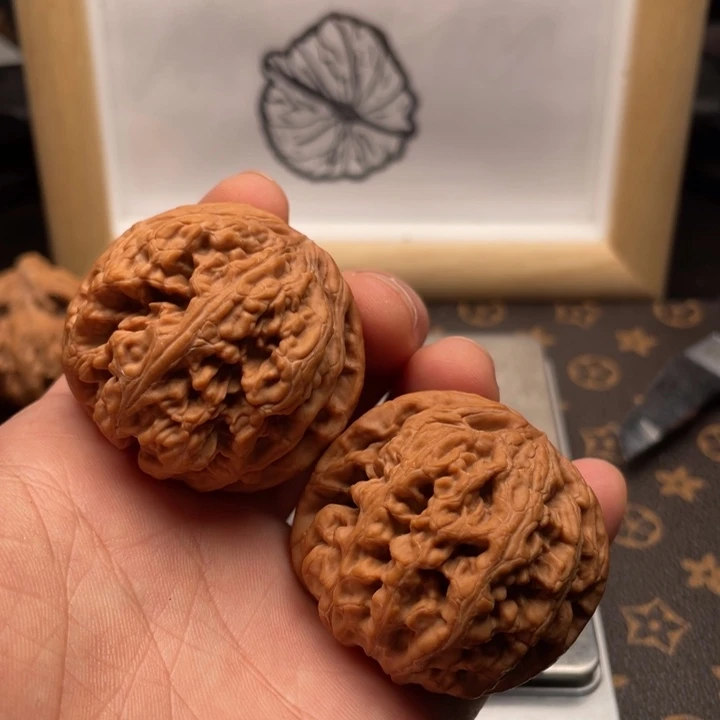 核桃粗筋文玩核桃