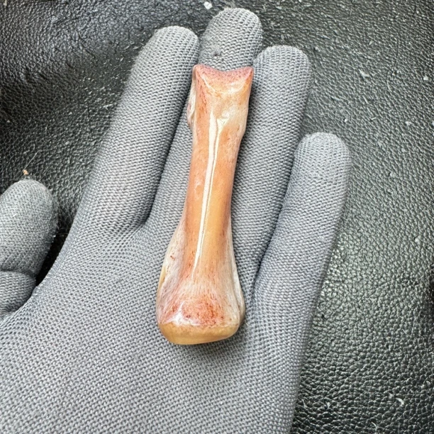 鸵鸟腿骨指骨手把件（单个 处理好十天左右发货）
