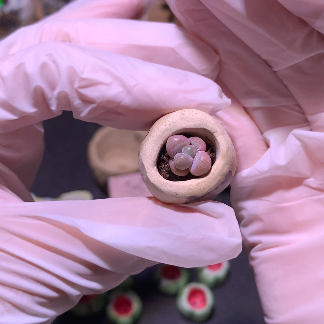 小奶泡泡，水光针。小