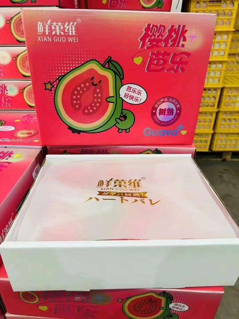 鲜果唯樱桃红心芭乐3斤5-9个