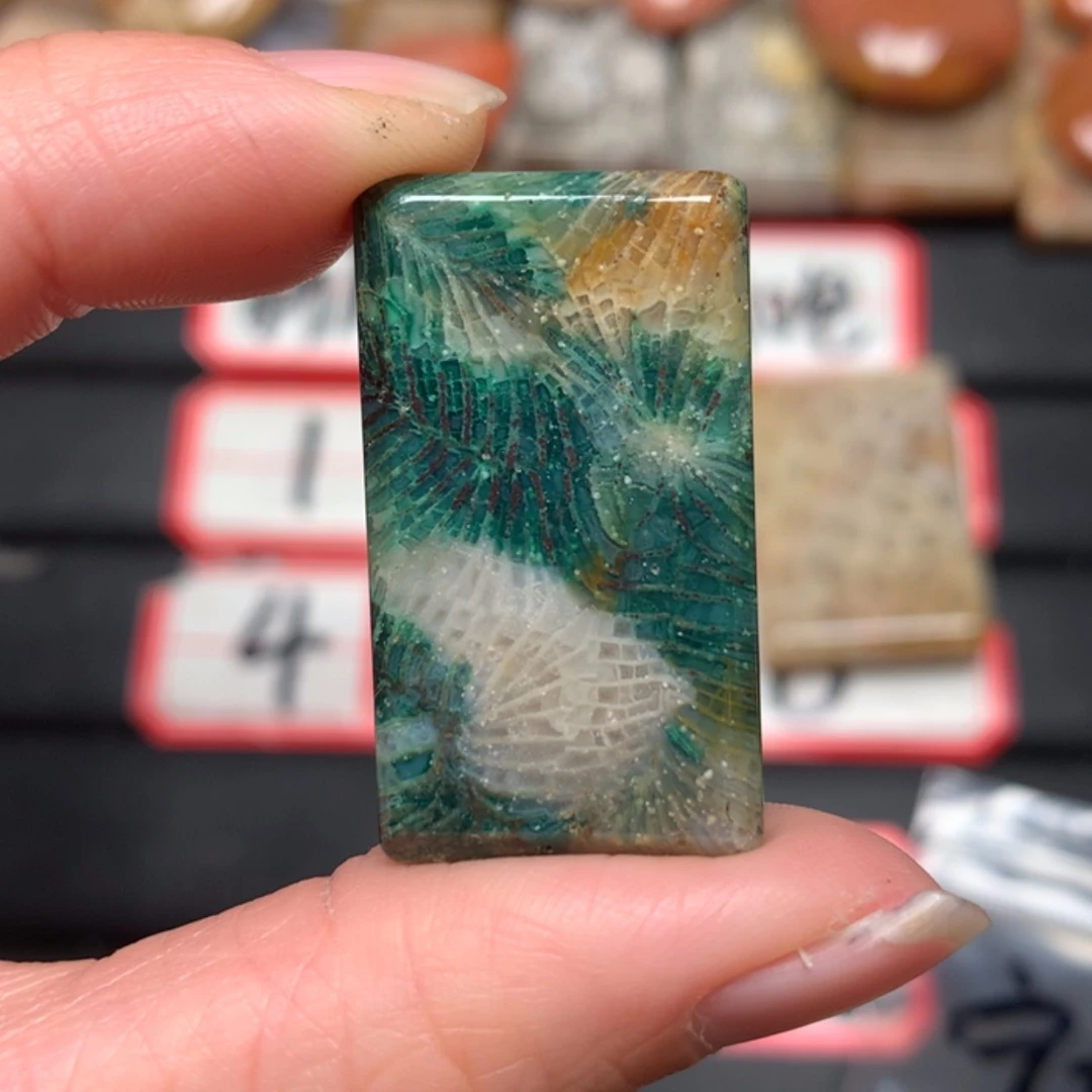 【闪购商品】硅化玉颈饰未镶嵌马****果