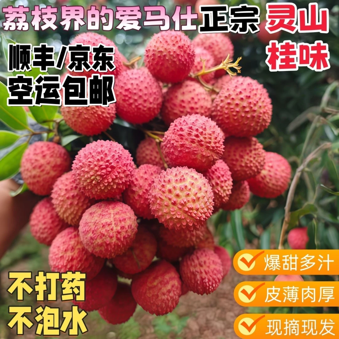 灵山圈枝桂味荔枝香甜多汁当天发货现摘现发超甜顺丰京东空运包邮