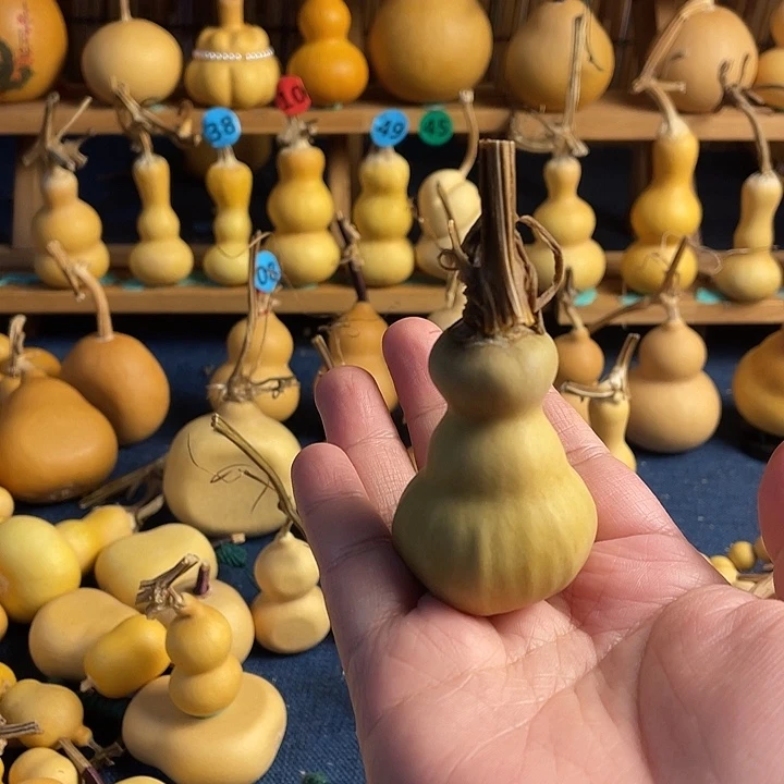 ****.11111111111111111111